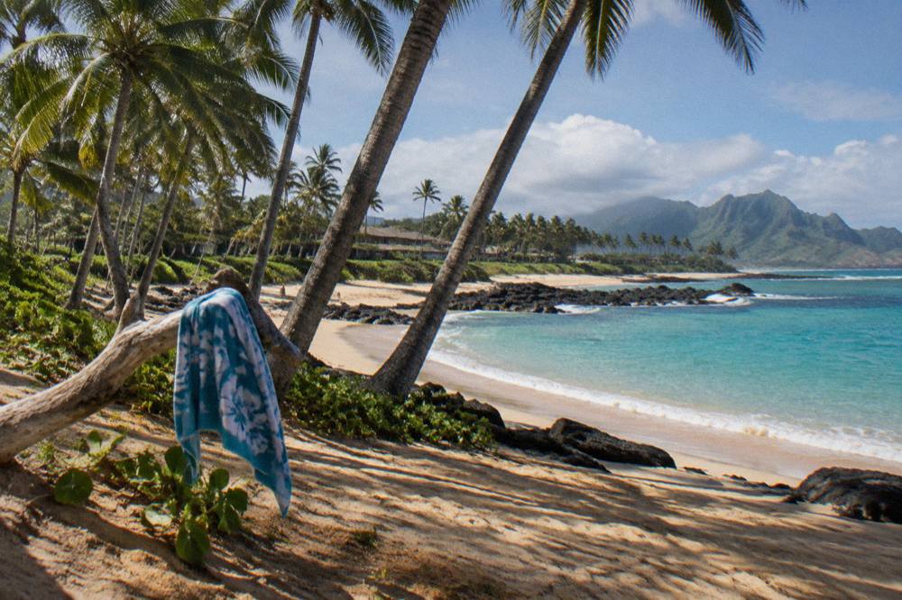Palm-lined shoreline along Kauai's south coast with turquoise water and a sandy beach